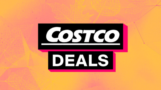 1761682210_zdnet-prime-day-costco.png