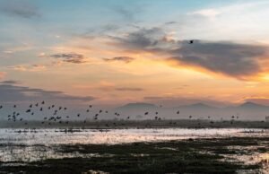 Nokrišņi apglabā Meksikas mega-lidostu