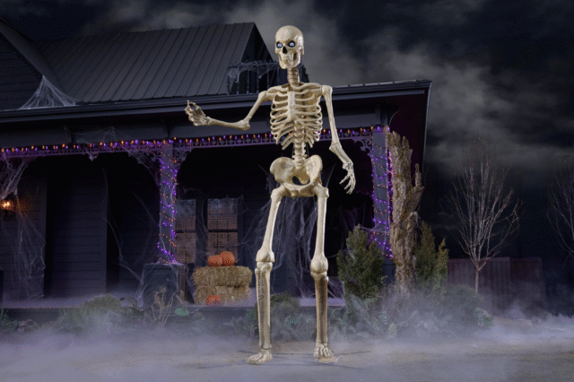 images-2.fill_.size_2000x1330.v1761314698.png
