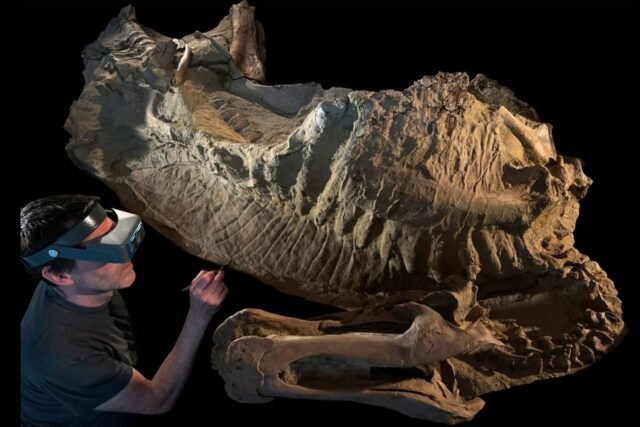 juvenile-duck-billed-dino-mummy.jpg