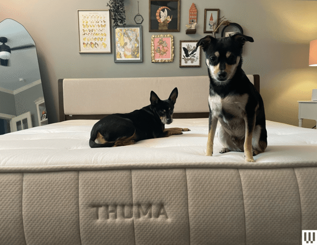 thuma2520hybrid2520mattress2520source2520julia2520forbes.png