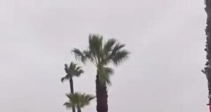 85 gadus veca britu sieviete iet bojā un vairāki desmiti ievainoti, vētrai Klaudija plosoties Portugāles brīvdienu kempingā