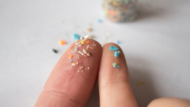 1762773194_microplastics-on-fingers.jpg