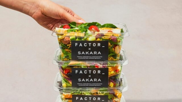 1763391257_factor-x-sakara-03.jpg