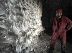 Kāpēc pasaulē lielākais zināmais zirnekļa tīkls pārsteidza šo zinātnieku