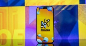 NYT Strands mājieni, atbildes uz 2025. gada 18. novembri