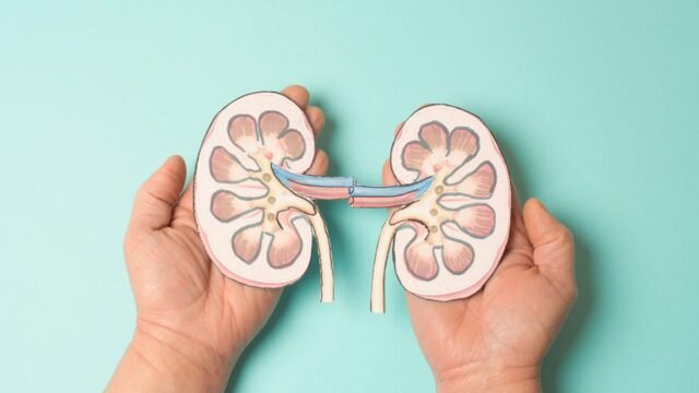 person-holding-kidneys-illustration.jpg