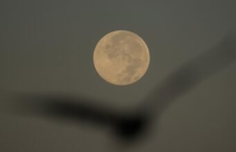 Kā pamanīt novembra supermēnesi, gada tuvāko